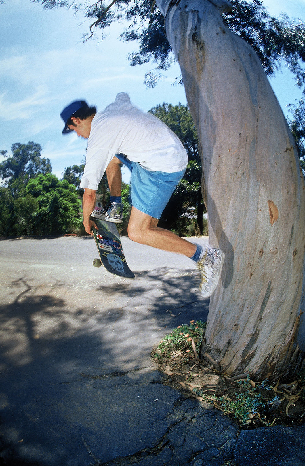 Mark Gonzales Tree Indy Fast Plant Laguna Beach 1988 Shot Number 2