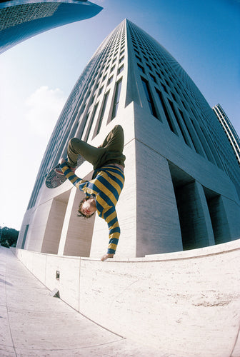 Mark Gonzales Street Plant in Houston, Texas