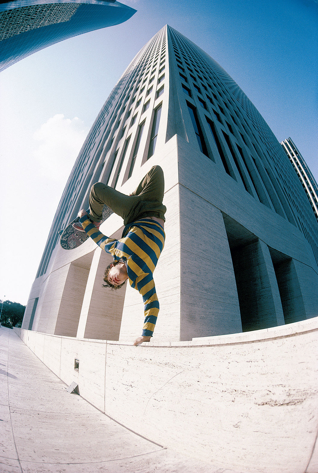 Mark Gonzales Street Plant in Houston, Texas