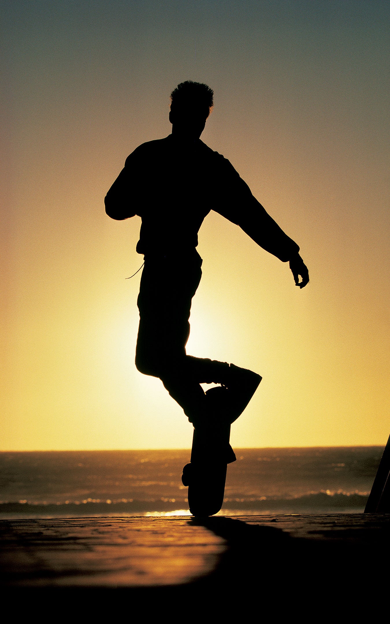 DonBrown85OceansideSilhouetteB