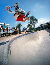 USA shipping only- Powell Peralta Mike McGill 2005 Reissue Skateboard Deck and 13x16" Print of McTwist 1985